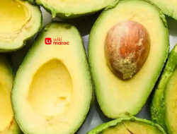 Manfaat Buah Alpukat: Sumber Lemak Baik dan Kaya Nutrisi