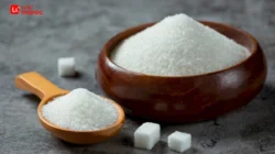 Bahaya konsumsi gula berlebihan
