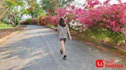 Manfaat Jalan Pagi Bikin Bahagia? Ini Alasannya!