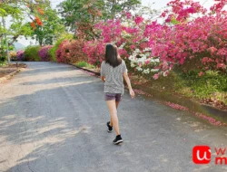 Manfaat Jalan Pagi Bikin Bahagia? Ini Alasannya!