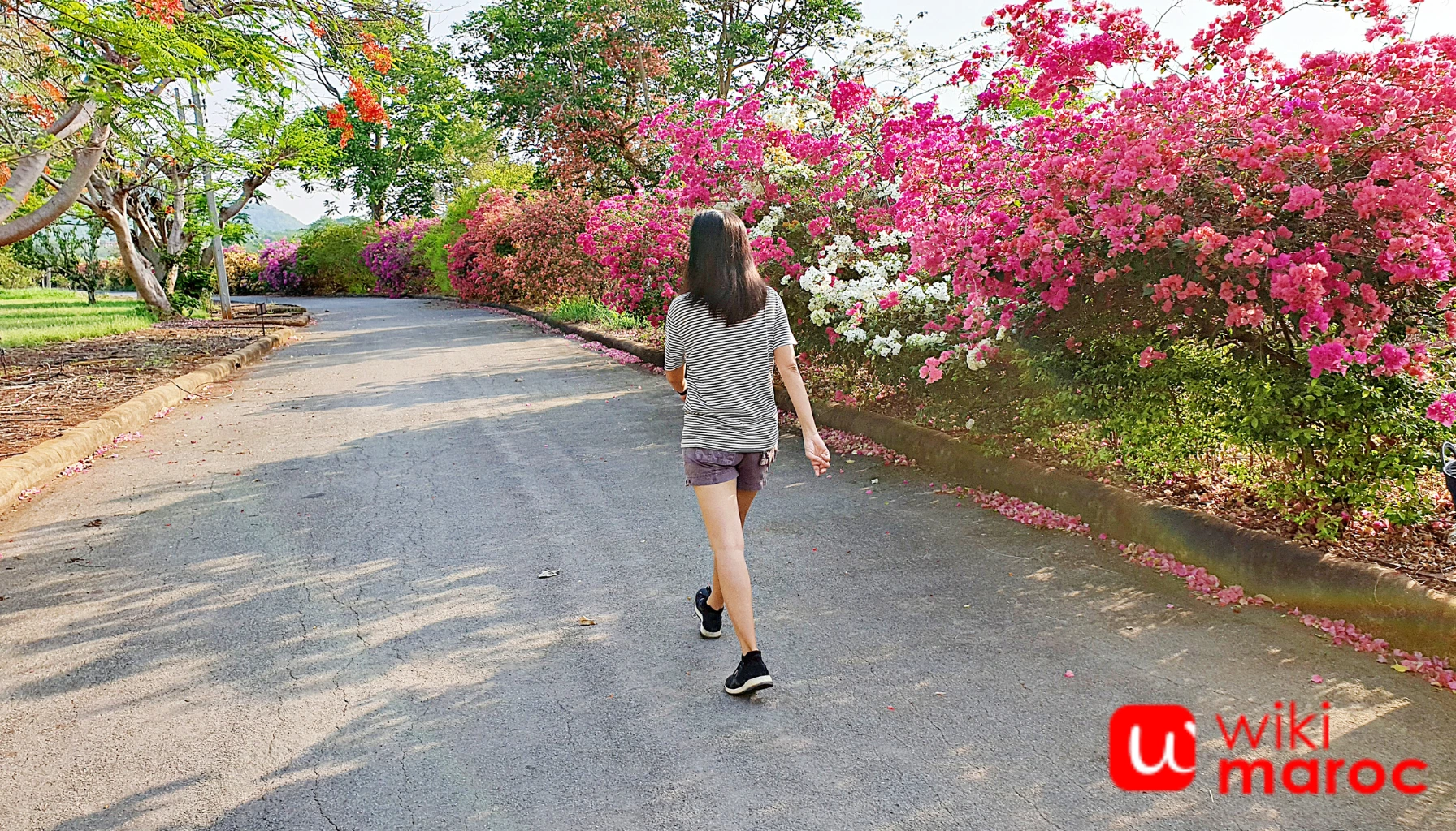 Jalan Pagi