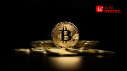 Crypto Indonesia Ilegal? Faktanya!