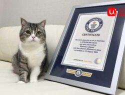 7 Berita Viral yang Mengejutkan