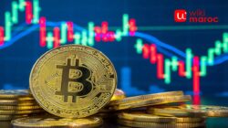 9 Crypto Indonesia Paling Aman