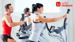 Tingkat Aktivitas Fisik