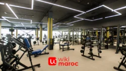 GYM: Manfaat & Alasan Penting untuk Gaya Hidup Sehat