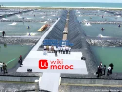 Tambak Udang: Peluang Usaha Perikanan dengan Potensi Keuntungan Besar