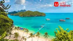 Koh Samui: Destinasi Tropis Favorit di Thailand